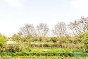 Photo 3- click for photo gallery